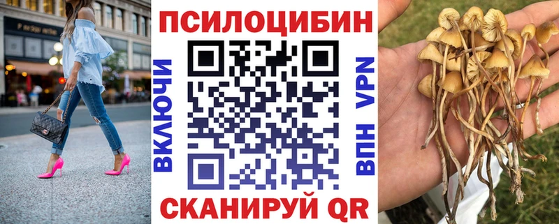 Псилоцибиновые грибы Psilocybe магазин наркотиков Арсеньев